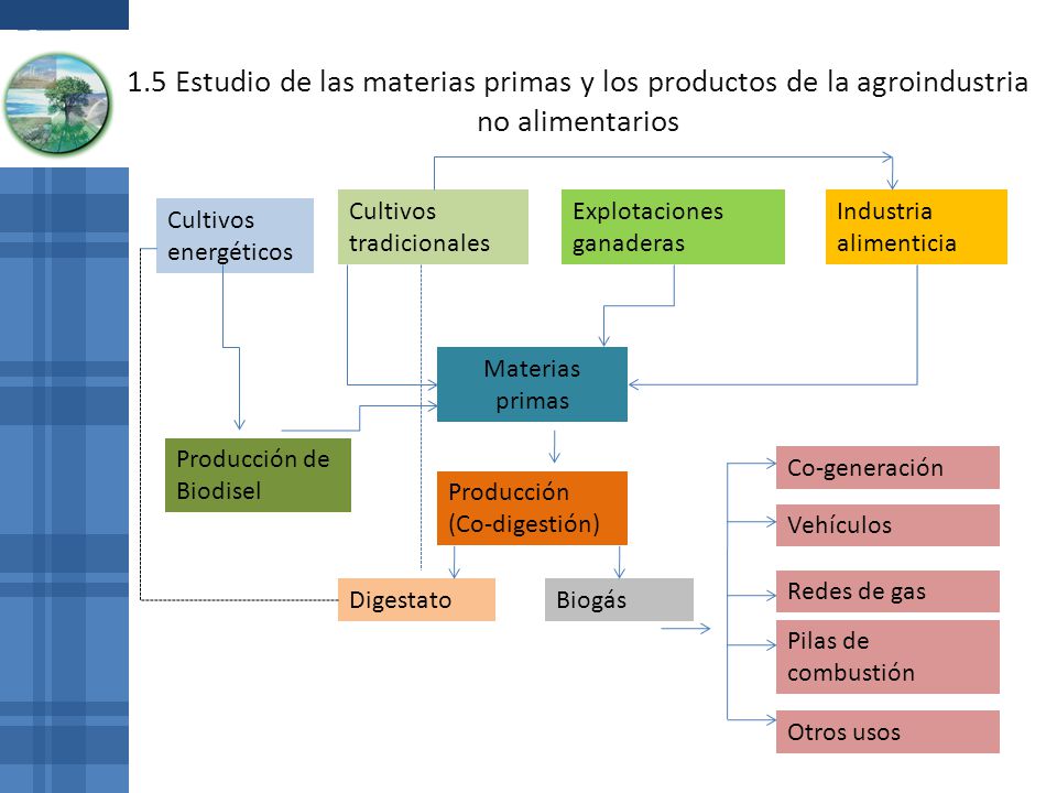 1.5 Estudio de las materias primas y los productos de la agroindustria no alimentarios