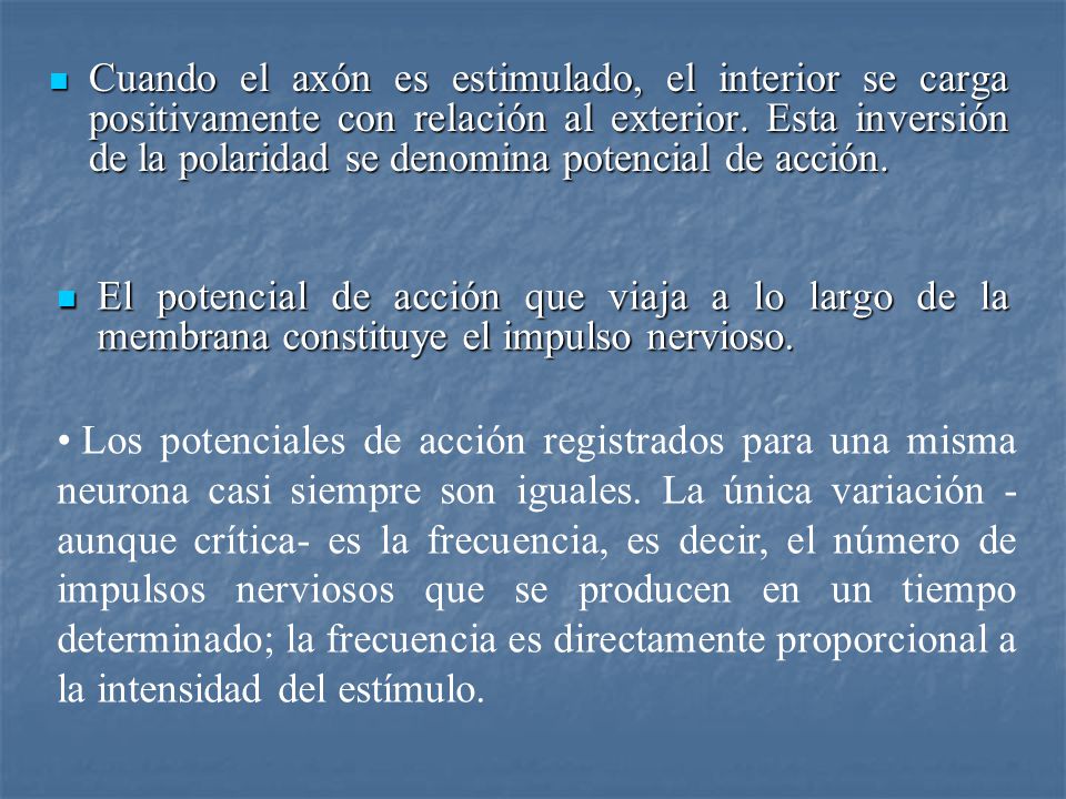 Cuando el axón es estimulado, el interior se carga positivamente con relación al exterior. Esta inversión de la polaridad se denomina potencial de acción.
