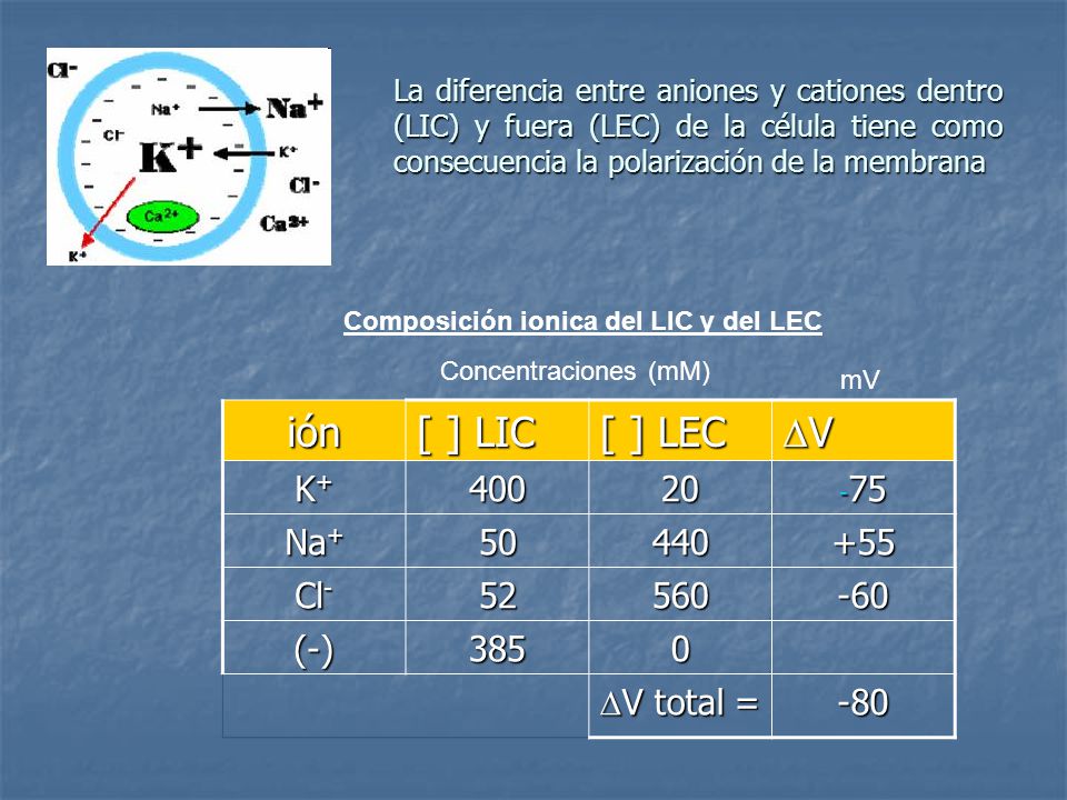 Composición ionica del LIC y del LEC