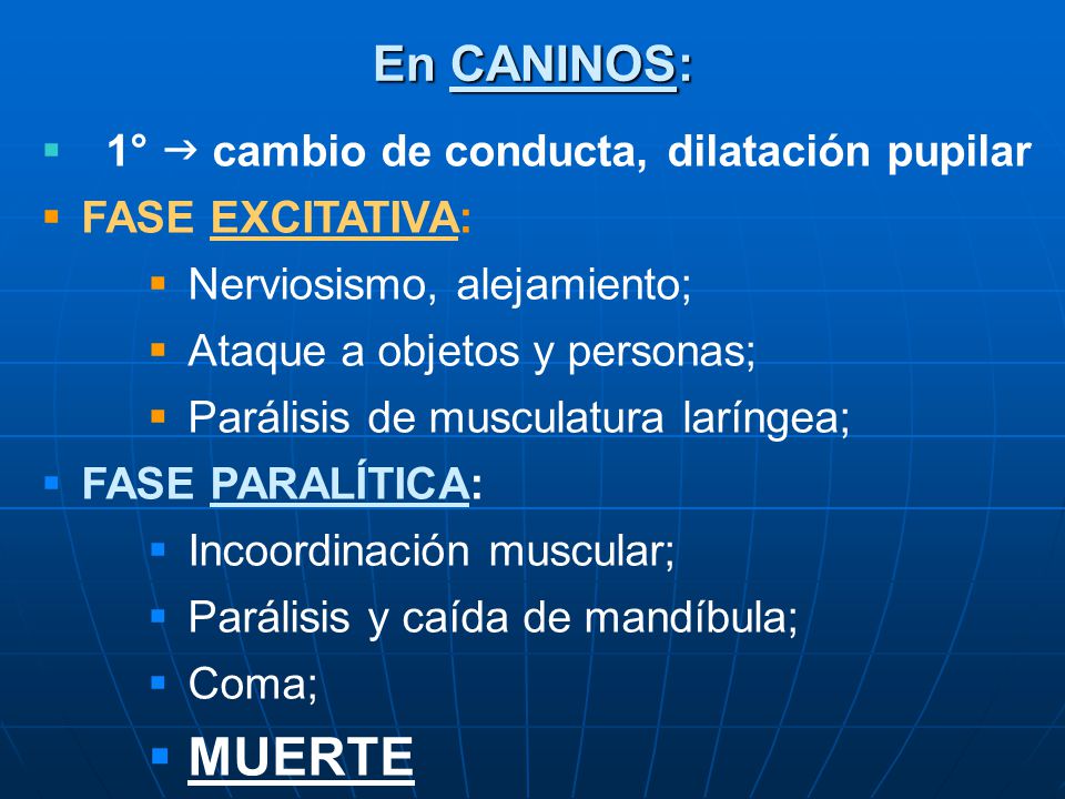 MUERTE En CANINOS: 1°  cambio de conducta, dilatación pupilar