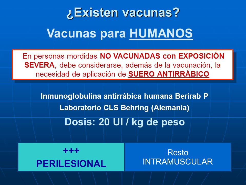 ¿Existen vacunas Vacunas para HUMANOS Dosis: 20 UI / kg de peso +++