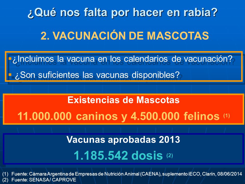dosis (2) ¿Qué nos falta por hacer en rabia