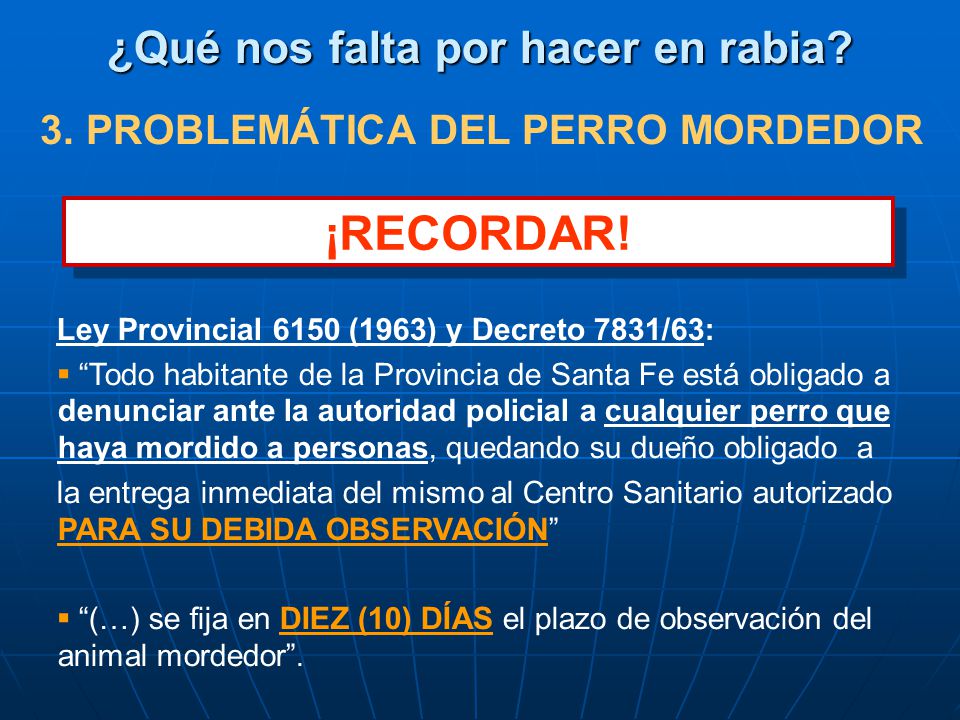 ¿Qué nos falta por hacer en rabia 3. PROBLEMÁTICA DEL PERRO MORDEDOR