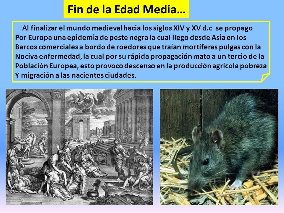 Fin de la Edad Media… Al finalizar el mundo medieval hacia los siglos XIV y XV d.c se propago.