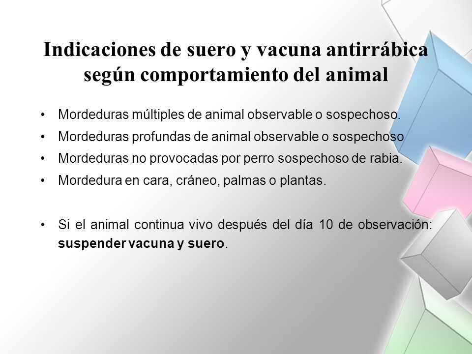 Indicaciones de suero y vacuna antirrábica según comportamiento del animal