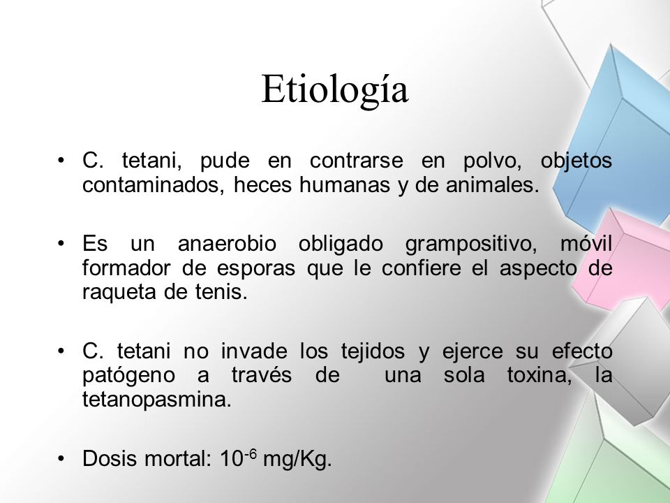 Etiología C. tetani, pude en contrarse en polvo, objetos contaminados, heces humanas y de animales.