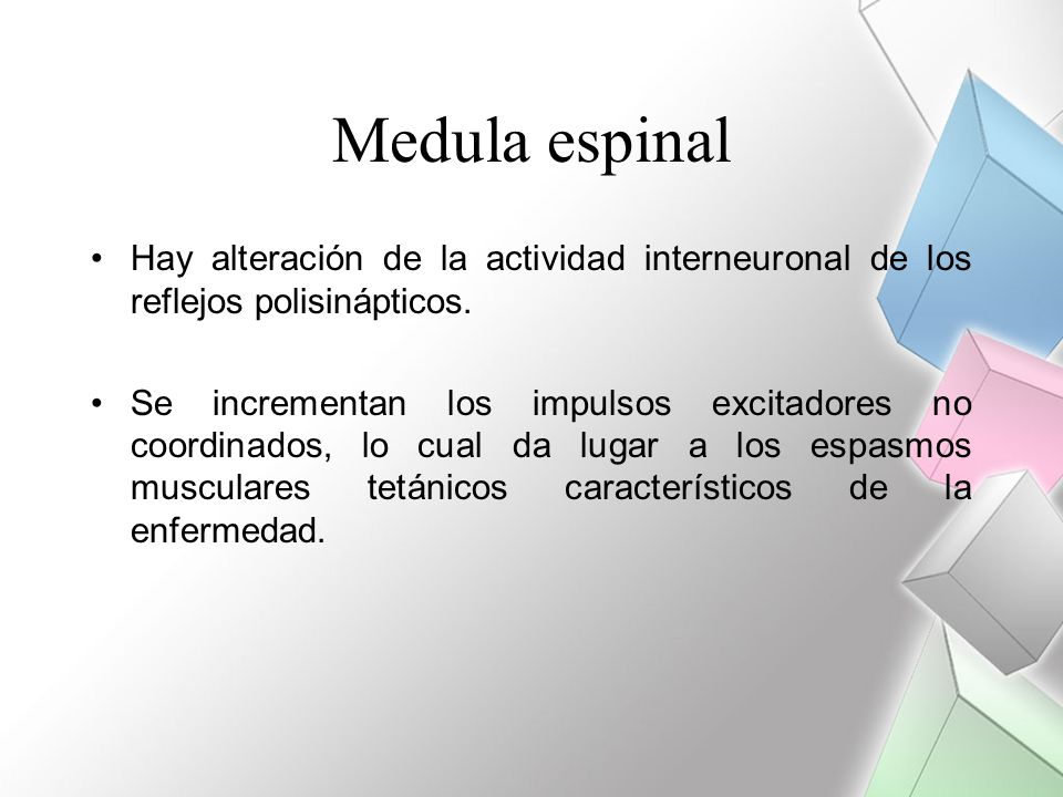 Medula espinal Hay alteración de la actividad interneuronal de los reflejos polisinápticos.