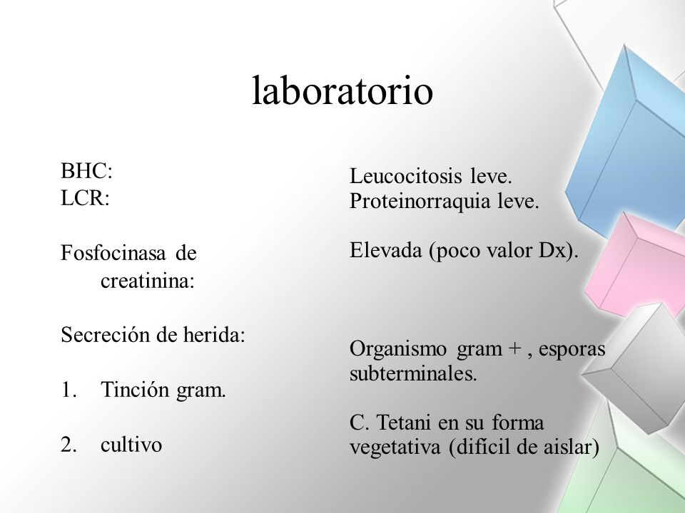 laboratorio BHC: Leucocitosis leve. LCR: Proteinorraquia leve.