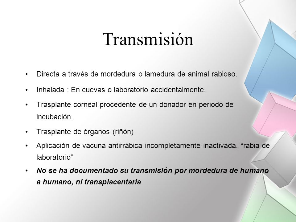Transmisión Directa a través de mordedura o lamedura de animal rabioso. Inhalada : En cuevas o laboratorio accidentalmente.