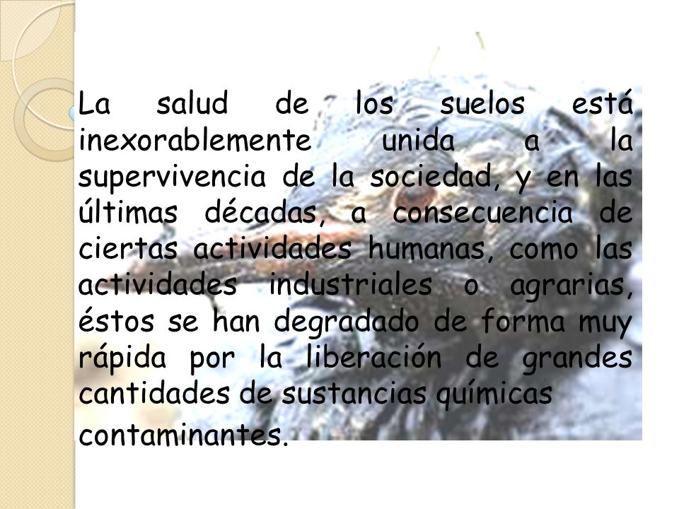 La salud de los suelos está inexorablemente unida a la supervivencia de la sociedad, y en las últimas décadas, a consecuencia de ciertas actividades humanas, como las actividades industriales o agrarias, éstos se han degradado de forma muy rápida por la liberación de grandes cantidades de sustancias químicas