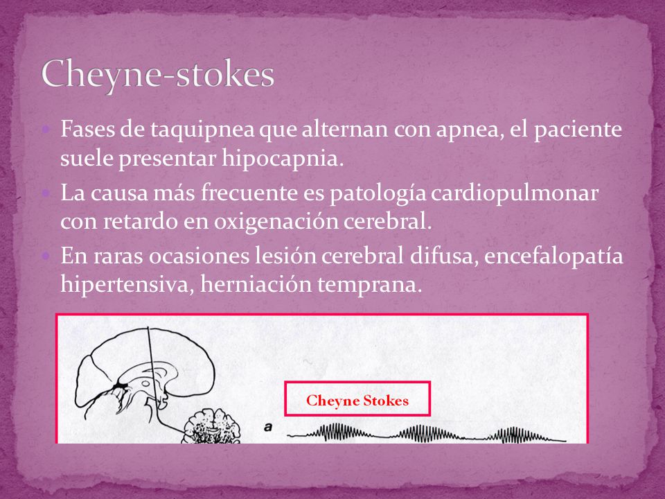 Cheyne-stokes Fases de taquipnea que alternan con apnea, el paciente suele presentar hipocapnia.