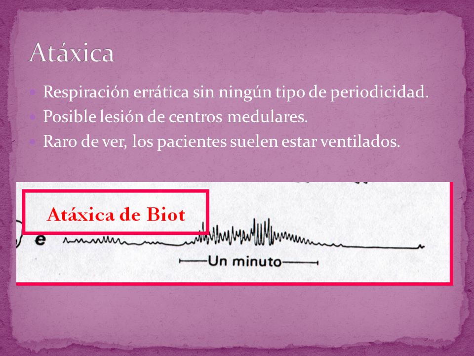 Atáxica Respiración errática sin ningún tipo de periodicidad.