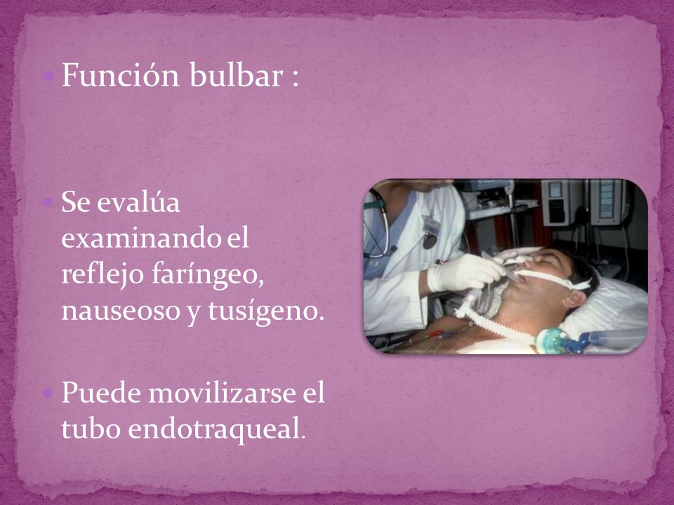 Función bulbar : Se evalúa examinando el reflejo faríngeo, nauseoso y tusígeno.