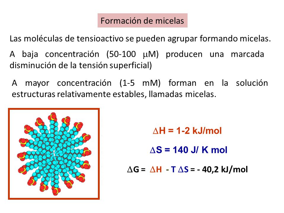 Formación de micelas Las moléculas de tensioactivo se pueden agrupar formando micelas.