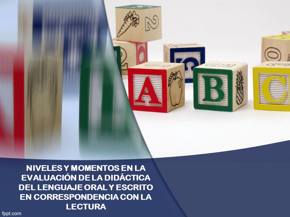 NIVELES Y MOMENTOS EN LA EVALUACIÓN DE LA DIDÁCTICA DEL LENGUAJE ORAL Y ESCRITO EN CORRESPONDENCIA CON LA LECTURA