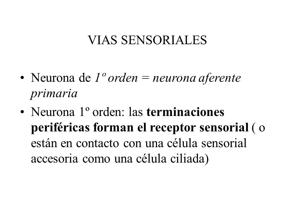 VIAS SENSORIALES Neurona de 1º orden = neurona aferente primaria
