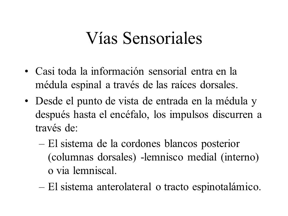 Vías Sensoriales Casi toda la información sensorial entra en la médula espinal a través de las raíces dorsales.