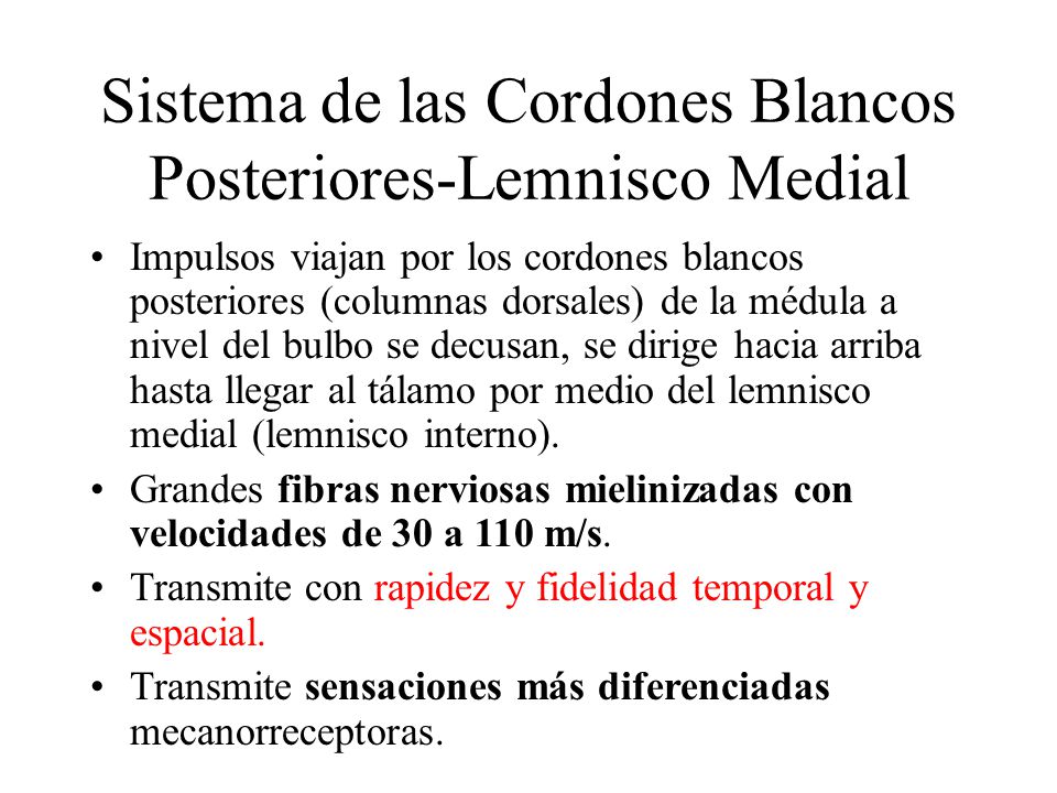 Sistema de las Cordones Blancos Posteriores-Lemnisco Medial