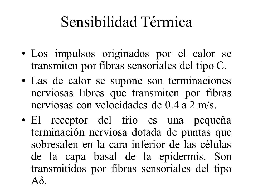 Sensibilidad Térmica Los impulsos originados por el calor se transmiten por fibras sensoriales del tipo C.
