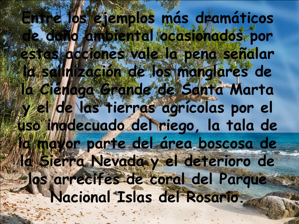 Entre los ejemplos más dramáticos de daño ambiental ocasionados por estas acciones vale la pena señalar la salinización de los manglares de la Ciénaga Grande de Santa Marta y el de las tierras agrícolas por el uso inadecuado del riego, la tala de la mayor parte del área boscosa de la Sierra Nevada y el deterioro de los arrecifes de coral del Parque Nacional Islas del Rosario.