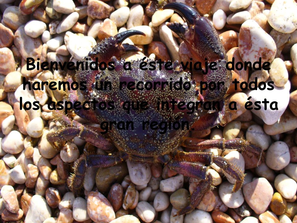 Bienvenidos a éste viaje donde haremos un recorrido por todos los aspectos que integran a ésta gran región.