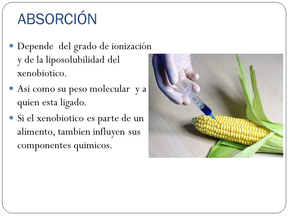 ABSORCIÓN Depende del grado de ionización y de la liposolubilidad del xenobiotico. Asi como su peso molecular y a quien esta ligado.