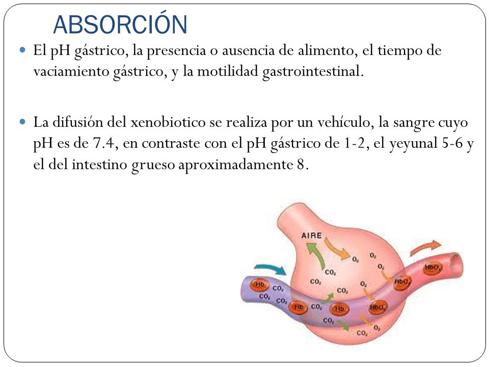 ABSORCIÓN El pH gástrico, la presencia o ausencia de alimento, el tiempo de vaciamiento gástrico, y la motilidad gastrointestinal.