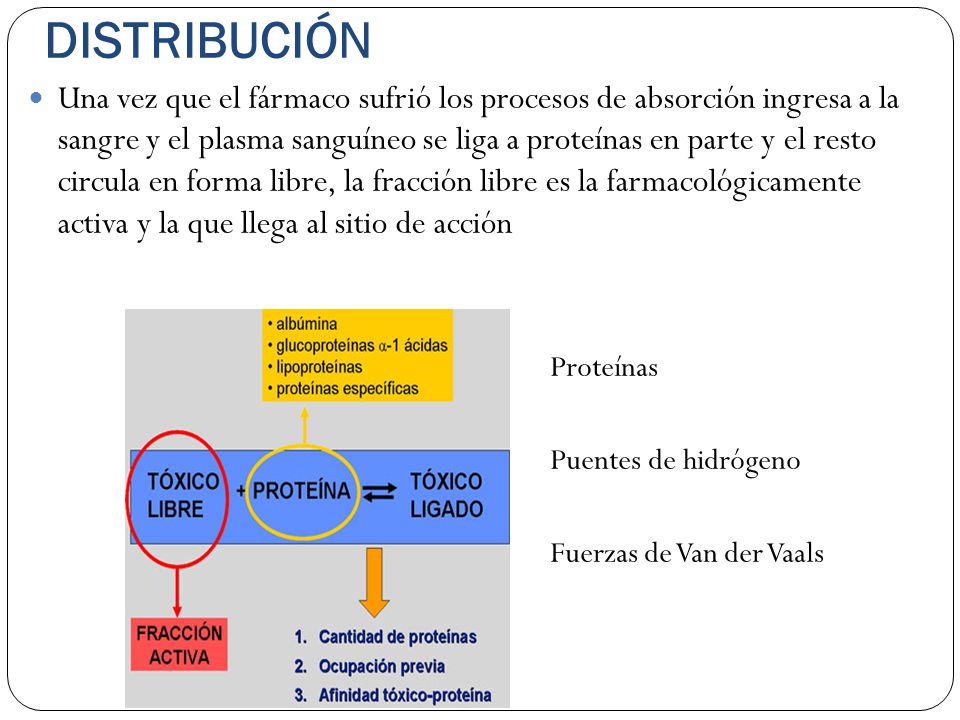 DISTRIBUCIÓN