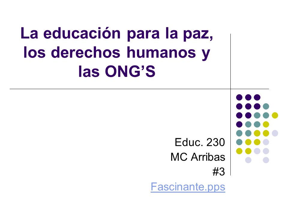 La educación para la paz, los derechos humanos y las ONG’S