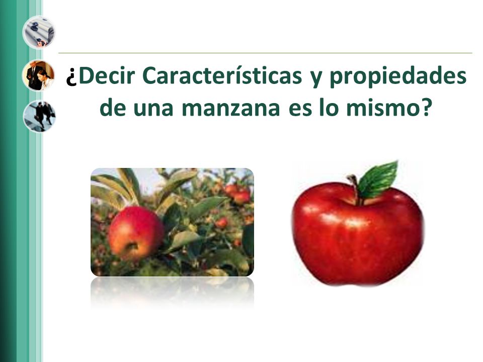 ¿Decir Características y propiedades de una manzana es lo mismo