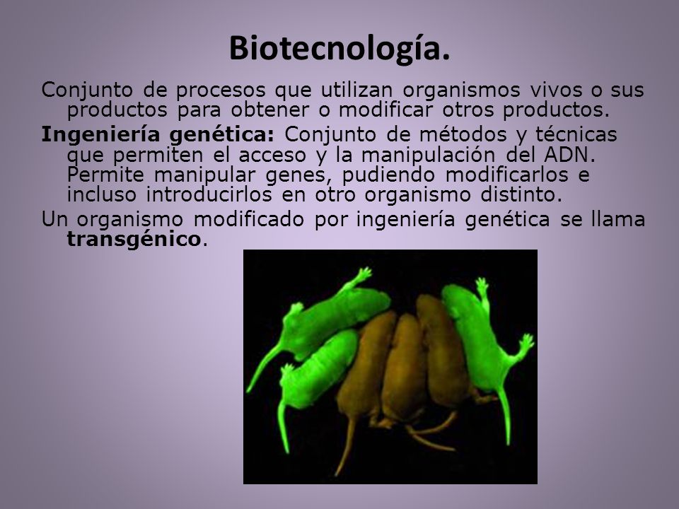 Biotecnología. Conjunto de procesos que utilizan organismos vivos o sus productos para obtener o modificar otros productos.