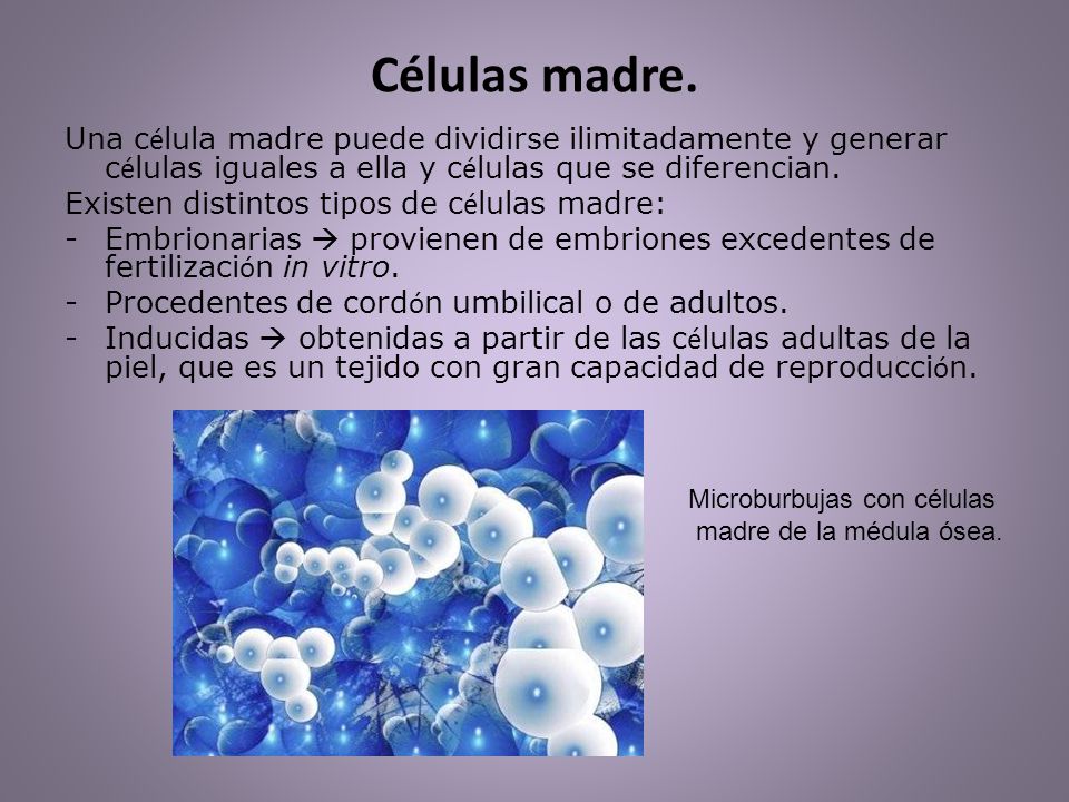 Células madre. Una célula madre puede dividirse ilimitadamente y generar células iguales a ella y células que se diferencian.