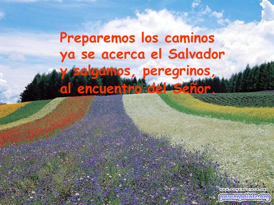 Preparemos los caminos ya se acerca el Salvador y salgamos, peregrinos, al encuentro del Señor.