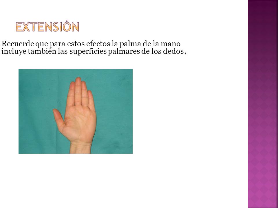 EXTENSIÓN Recuerde que para estos efectos la palma de la mano