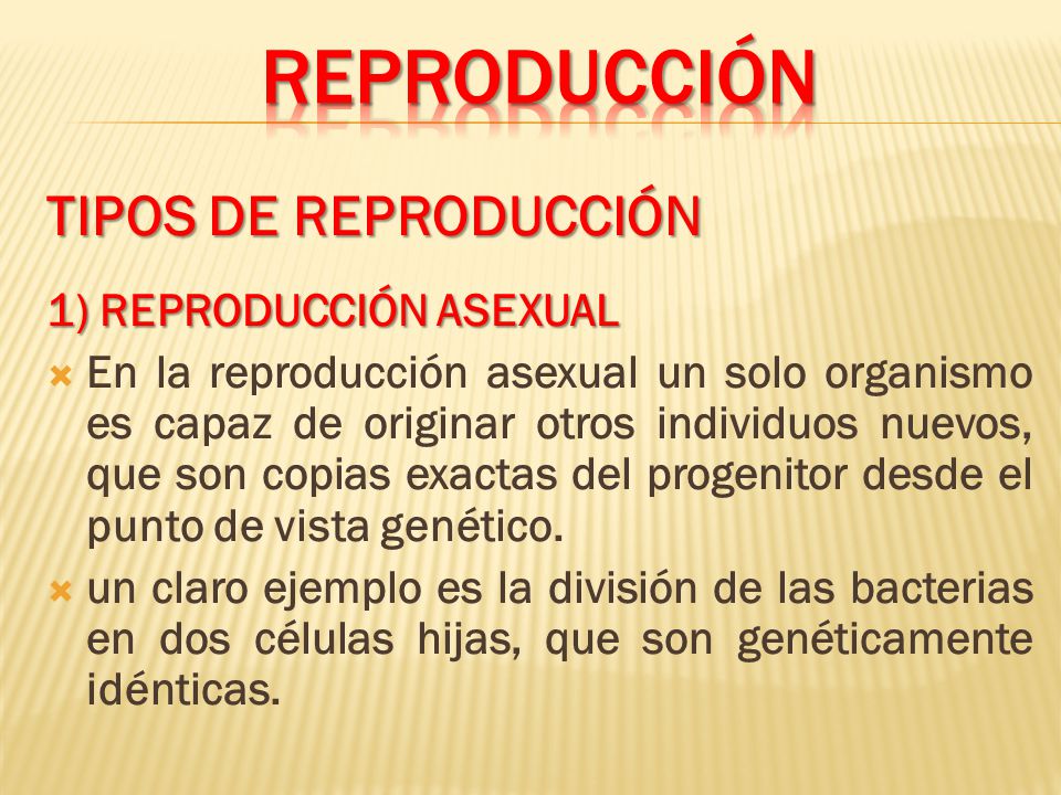 REPRODUCCIÓN TIPOS DE REPRODUCCIÓN 1) REPRODUCCIÓN ASEXUAL