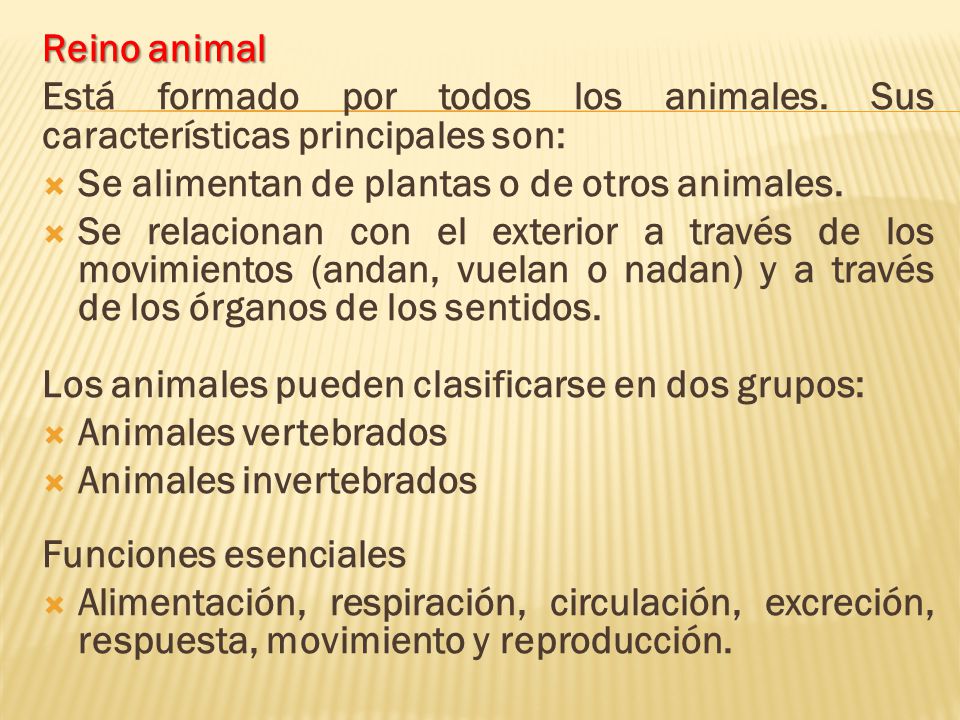 Reino animal Está formado por todos los animales. Sus características principales son: Se alimentan de plantas o de otros animales.