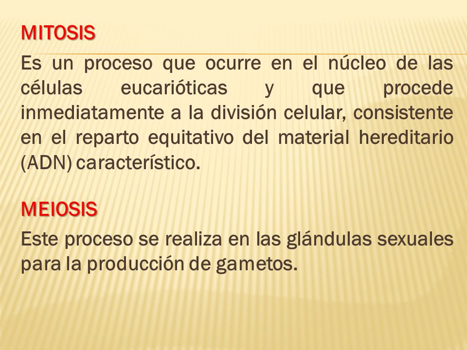 MITOSIS Es un proceso que ocurre en el núcleo de las células eucarióticas y que procede inmediatamente a la división celular, consistente en el reparto equitativo del material hereditario (ADN) característico.