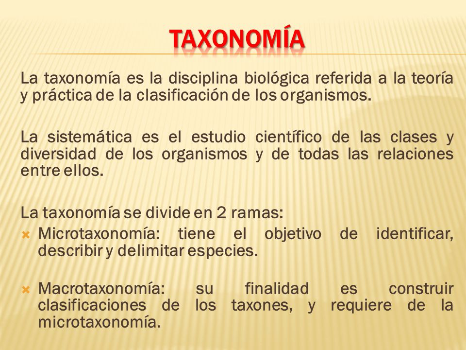 TAXONOMÍA La taxonomía es la disciplina biológica referida a la teoría y práctica de la clasificación de los organismos.