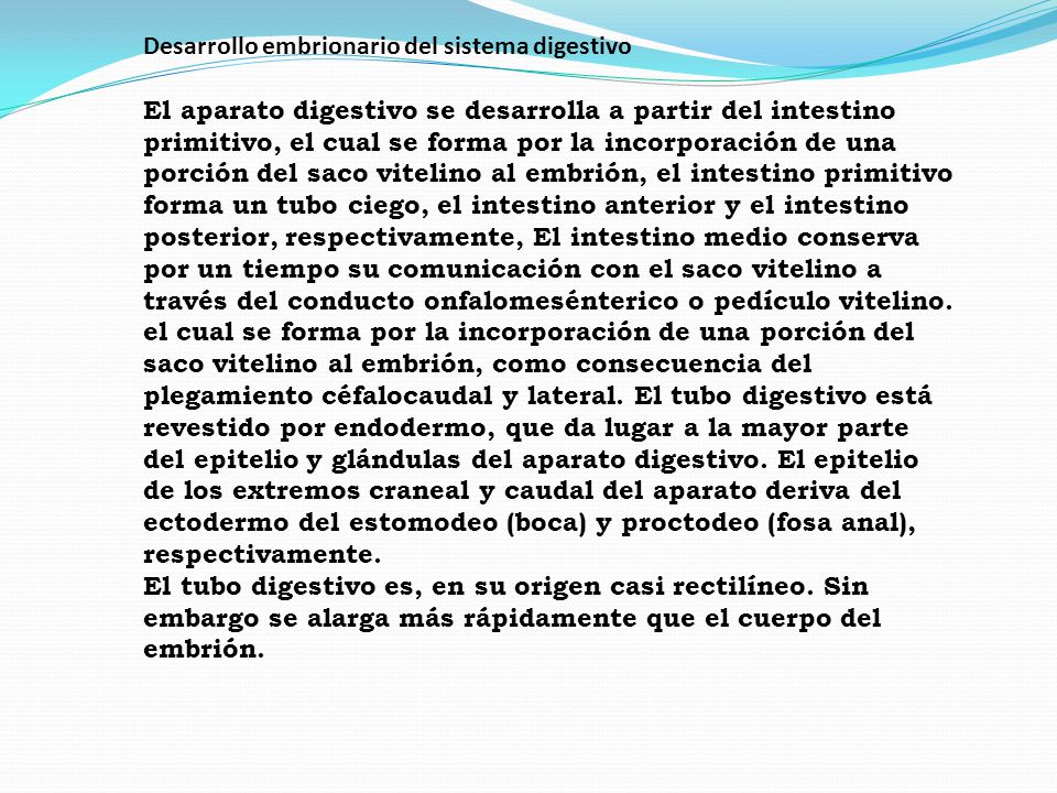 Desarrollo embrionario del sistema digestivo El aparato digestivo se desarrolla a partir del intestino primitivo, el cual se forma por la incorporación de una porción del saco vitelino al embrión, el intestino primitivo forma un tubo ciego, el intestino anterior y el intestino posterior, respectivamente, El intestino medio conserva por un tiempo su comunicación con el saco vitelino a través del conducto onfalomesénterico o pedículo vitelino. el cual se forma por la incorporación de una porción del saco vitelino al embrión, como consecuencia del plegamiento céfalocaudal y lateral. El tubo digestivo está revestido por endodermo, que da lugar a la mayor parte del epitelio y glándulas del aparato digestivo. El epitelio de los extremos craneal y caudal del aparato deriva del ectodermo del estomodeo (boca) y proctodeo (fosa anal), respectivamente.
