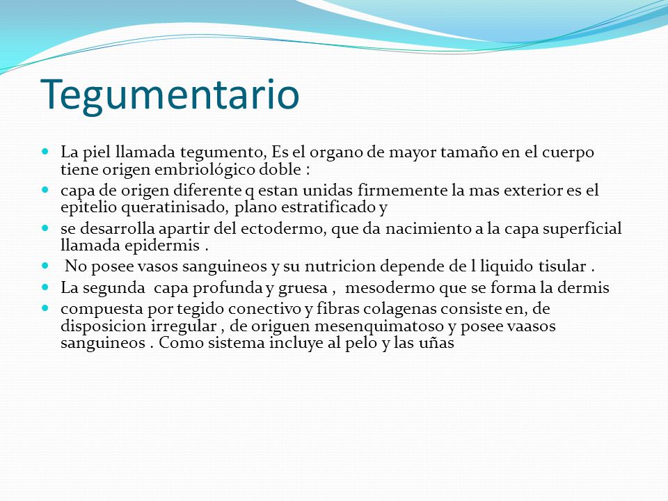 Tegumentario La piel llamada tegumento, Es el organo de mayor tamaño en el cuerpo tiene origen embriológico doble :