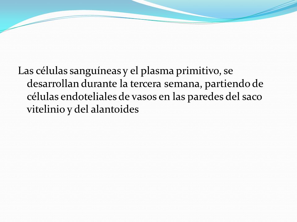 Las células sanguíneas y el plasma primitivo, se desarrollan durante la tercera semana, partiendo de células endoteliales de vasos en las paredes del saco vitelinio y del alantoides