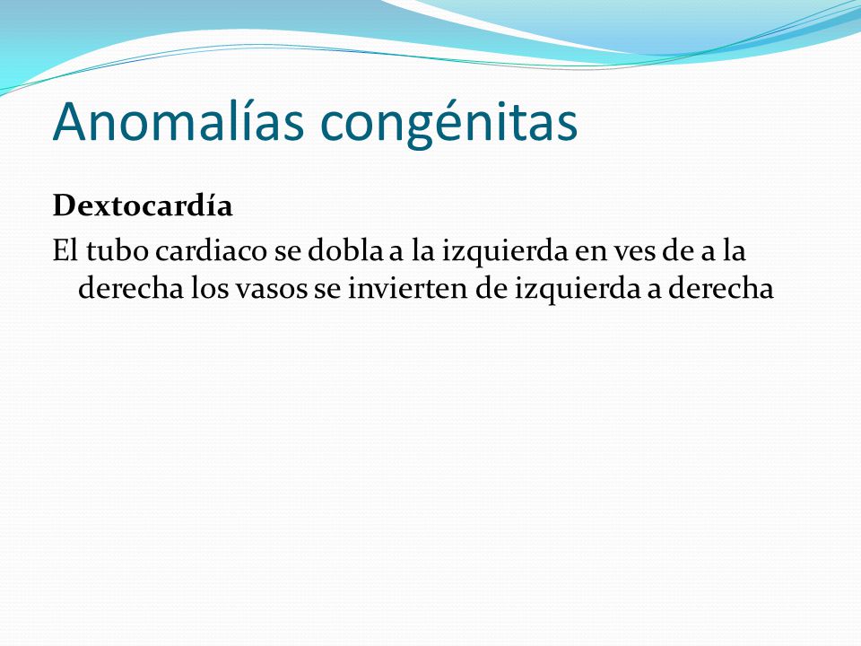Anomalías congénitas Dextocardía El tubo cardiaco se dobla a la izquierda en ves de a la derecha los vasos se invierten de izquierda a derecha