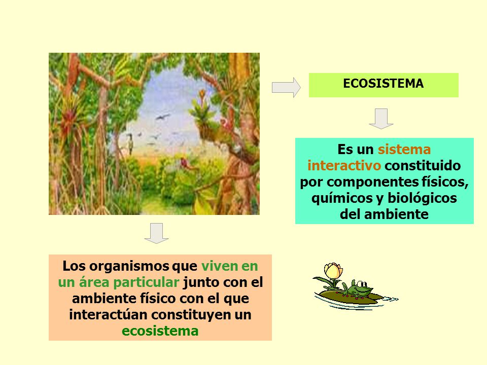 ECOSISTEMA Es un sistema interactivo constituido por componentes físicos, químicos y biológicos del ambiente.