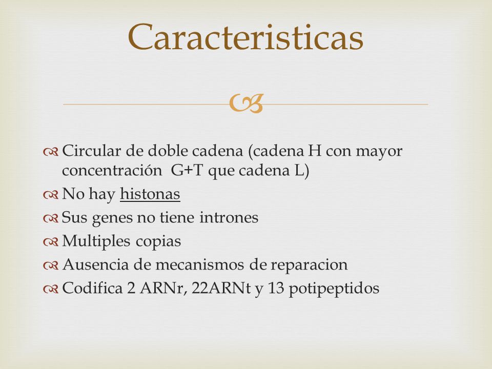 Caracteristicas Circular de doble cadena (cadena H con mayor concentración G+T que cadena L) No hay histonas.