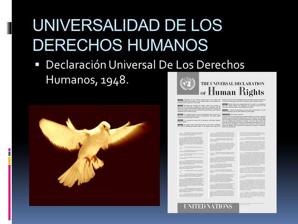 UNIVERSALIDAD DE LOS DERECHOS HUMANOS