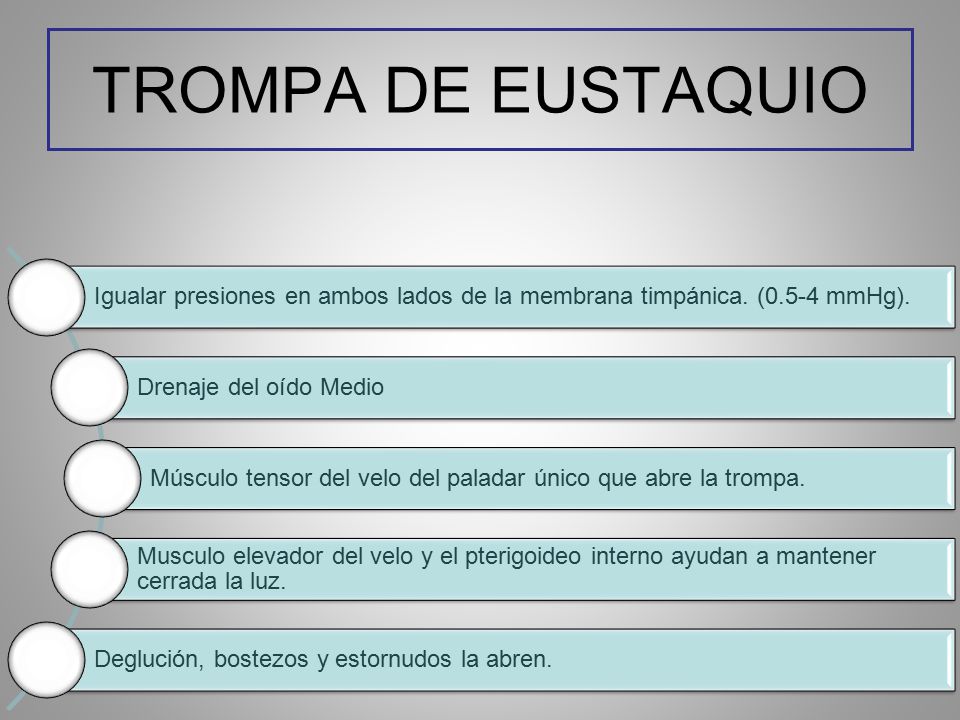 TROMPA DE EUSTAQUIO Igualar presiones en ambos lados de la membrana timpánica. (0.5-4 mmHg). Drenaje del oído Medio.