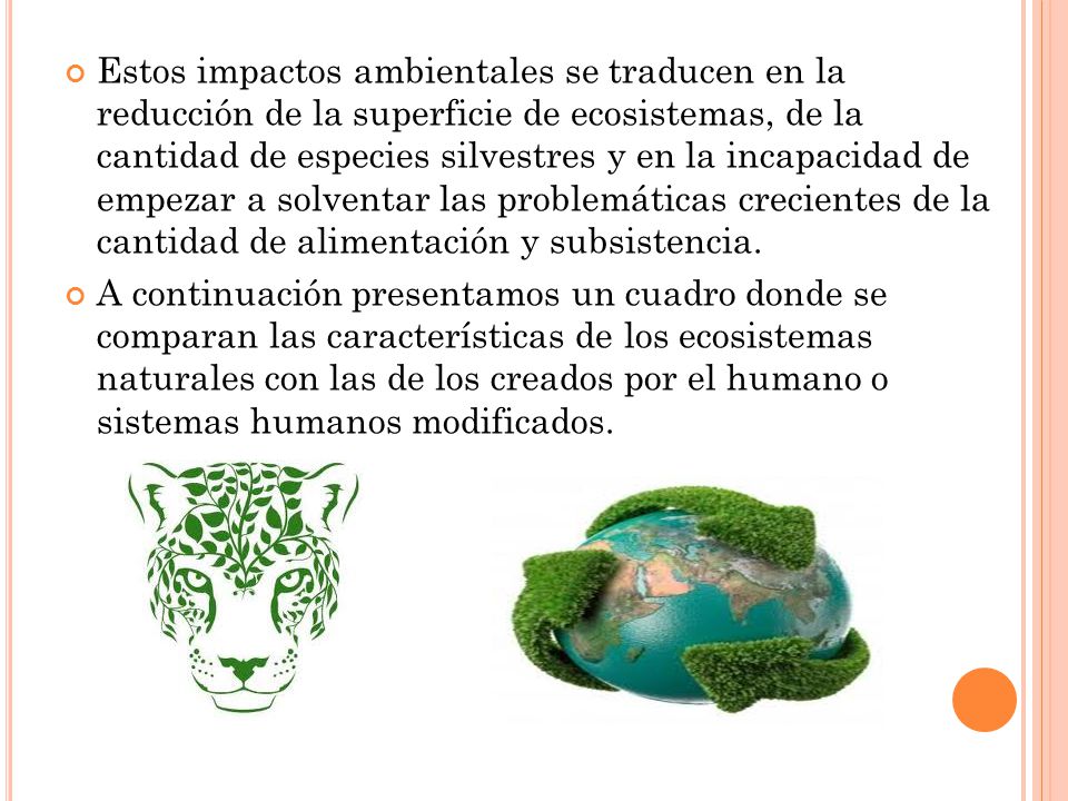 Estos impactos ambientales se traducen en la reducción de la superficie de ecosistemas, de la cantidad de especies silvestres y en la incapacidad de empezar a solventar las problemáticas crecientes de la cantidad de alimentación y subsistencia.