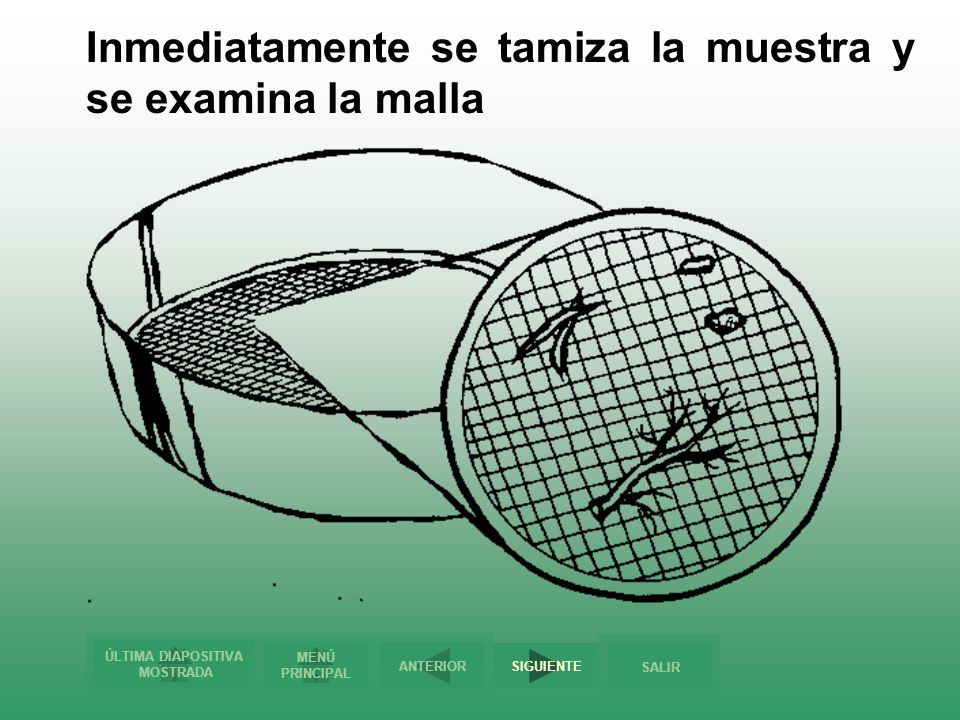 Inmediatamente se tamiza la muestra y se examina la malla