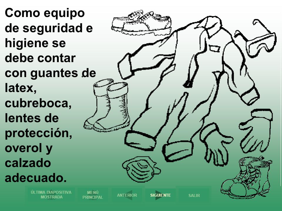 Como equipo de seguridad e higiene se debe contar con guantes de latex, cubreboca, lentes de protección, overol y calzado adecuado.