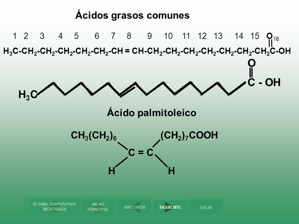 O C - OH H3C Ácidos grasos comunes Ácido palmitoleico